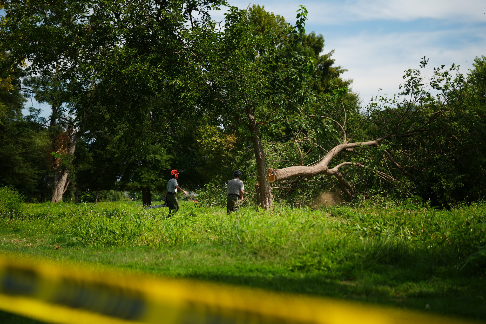 At East Potomac Park, Trees Are Falling and Tensions Are Rising