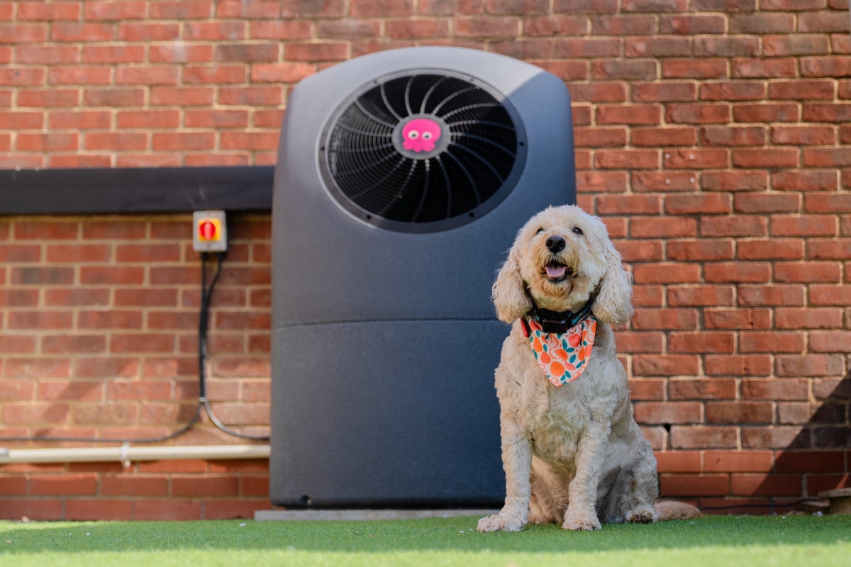 7 common heat pump myths – and the truth behind them
