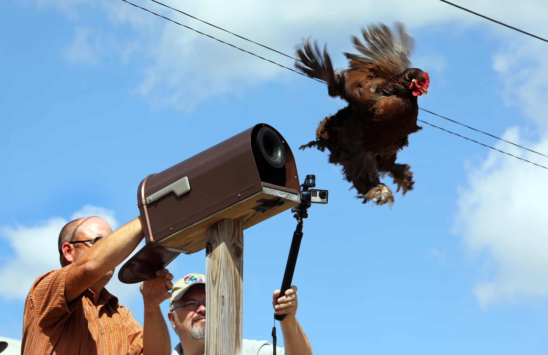 Great Geauga County Fair returns Thursday: What to know for 2026