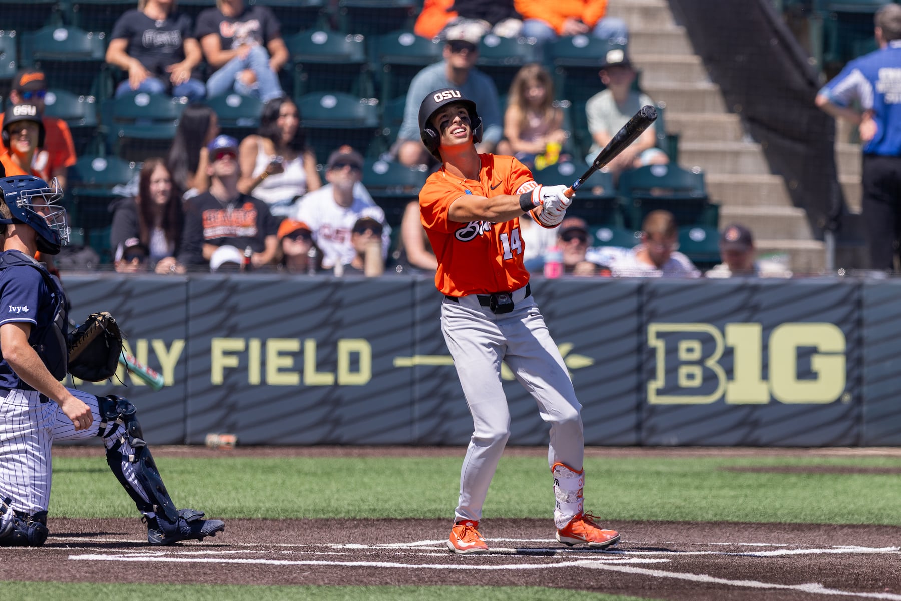 Oregon State shortstop Tyler Inge can play — a judge just blocked the school's cheating ruling