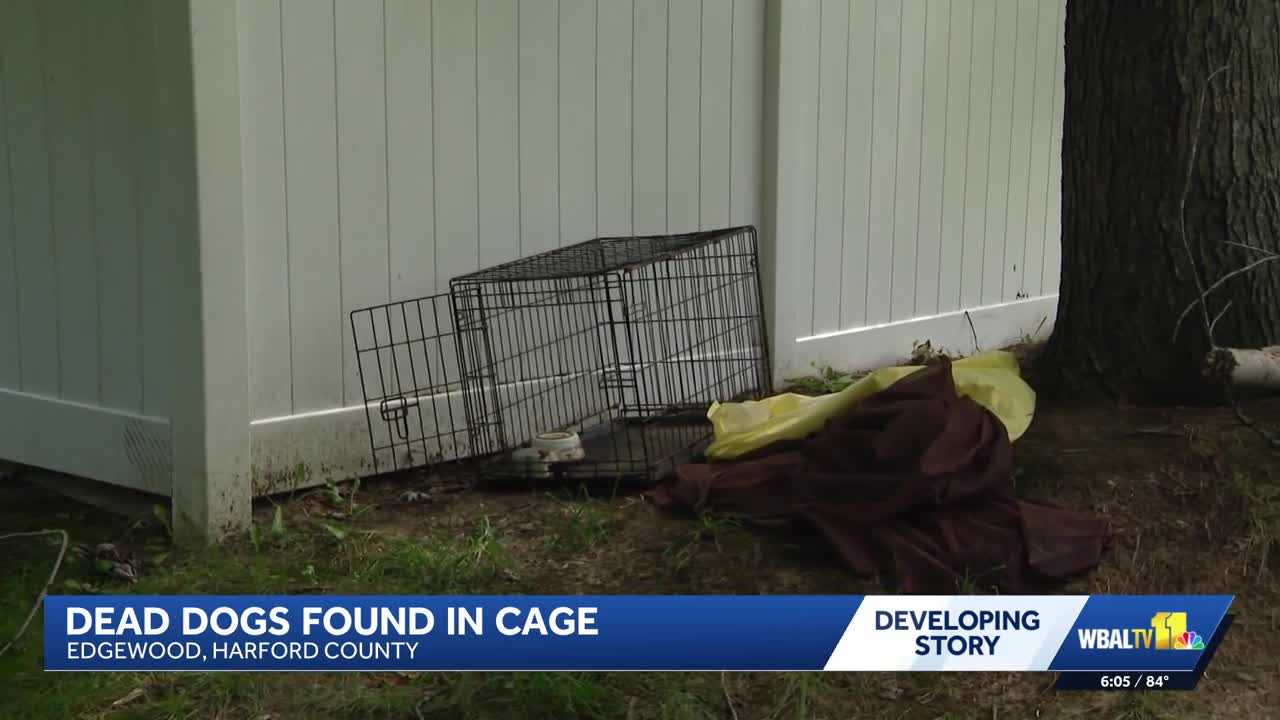 Harford County investigates two dogs found dead in Edgewood crate