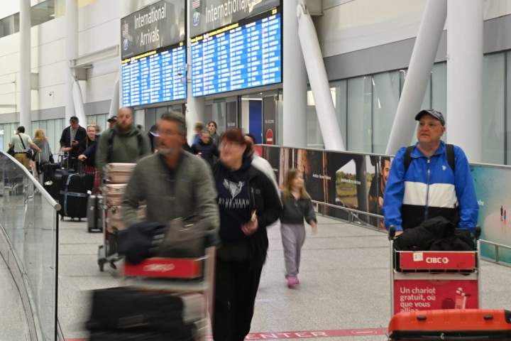 Montreal woman searches for cat last seen at Toronto Pearson airport