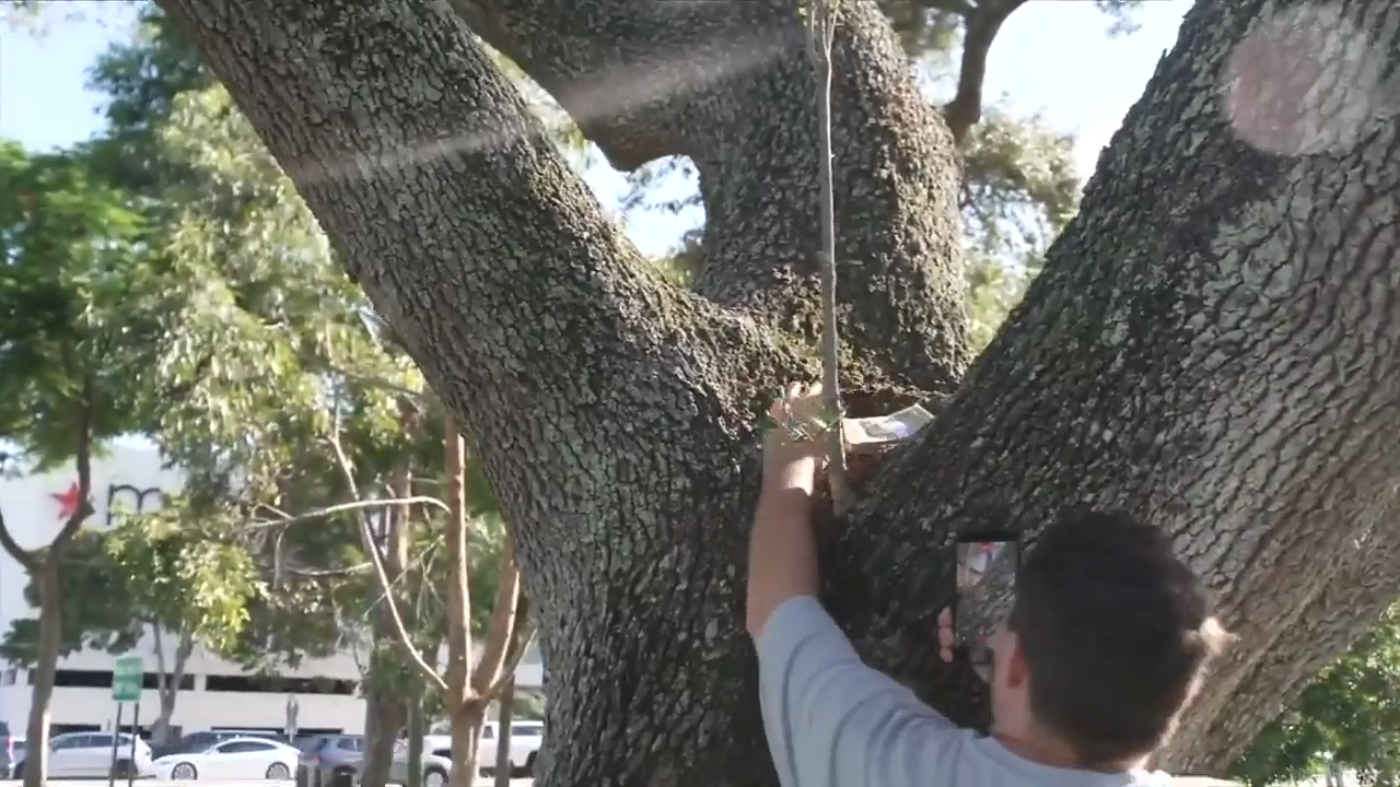 Fort Lauderdale man hides cash around the city for ‘Free Money Friday’