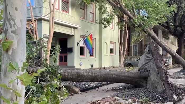 Uprooted tree causes gas leak as transformer flames in Monte Vista neighborhood