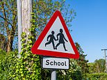 Homes near top state schools now command premiums of up to £275,000 - here's how 50 areas compare