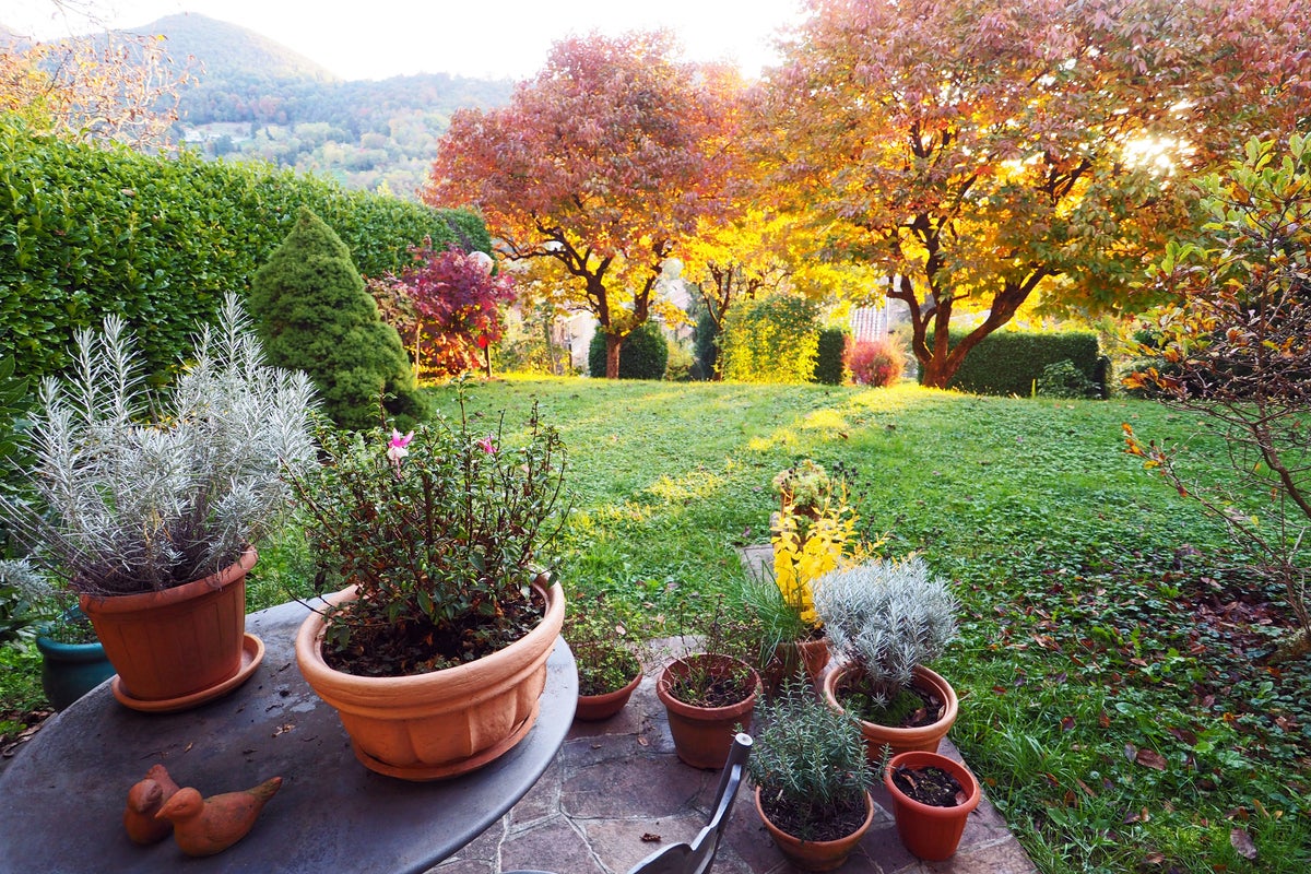 The secret to low-maintenance lawn care when the autumn routine returns