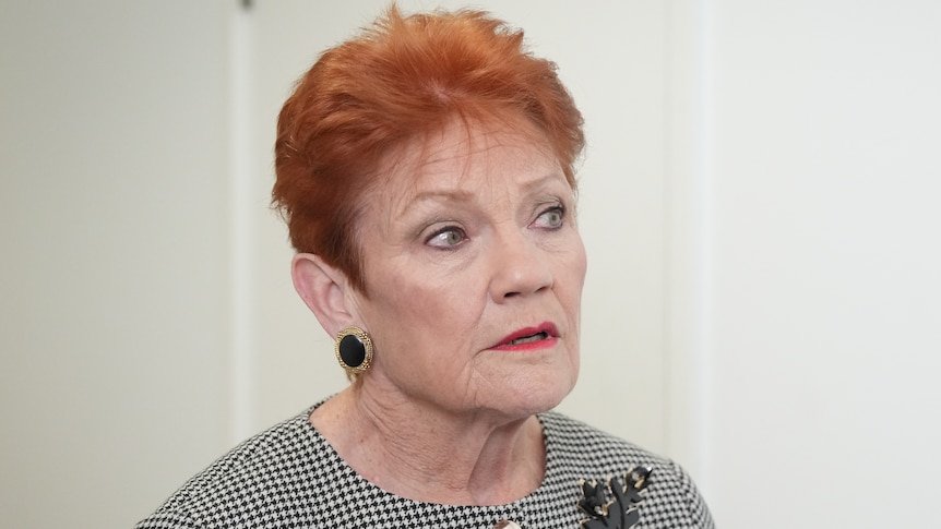 Minister tells Hanson to look in mirror over political violence claim