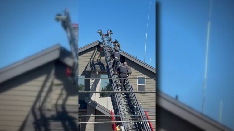 Suspect with pitchfork, hammer ends up on Northeast Portland roof