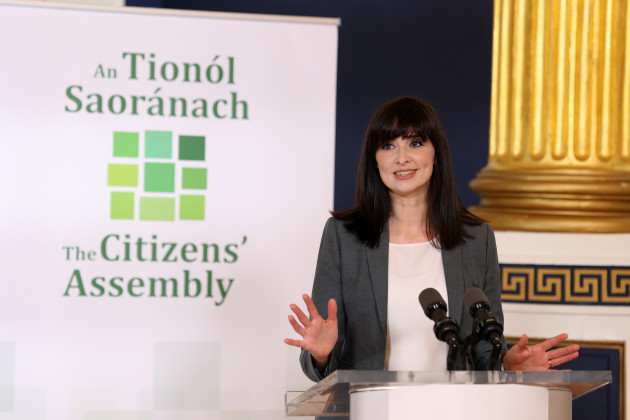 Aoibhinn Ní Shúilleabháin becomes second expert to quit Leaving Cert curriculum development group