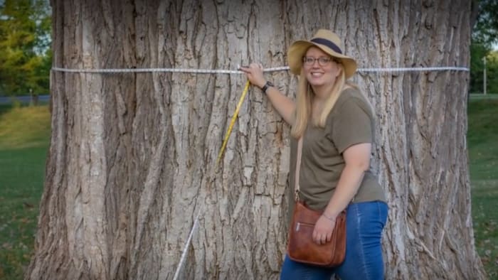 Morning 4: The hunt to find the biggest tree in Michigan — and more news