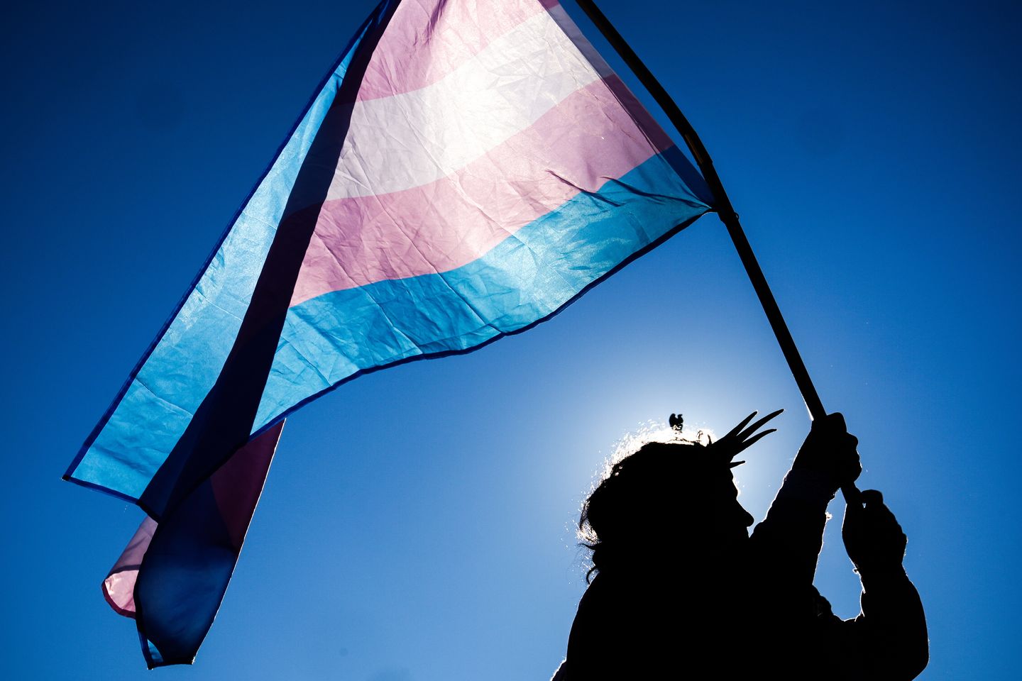 Does supporting 'gender ideology' make you more likely to justify violence?