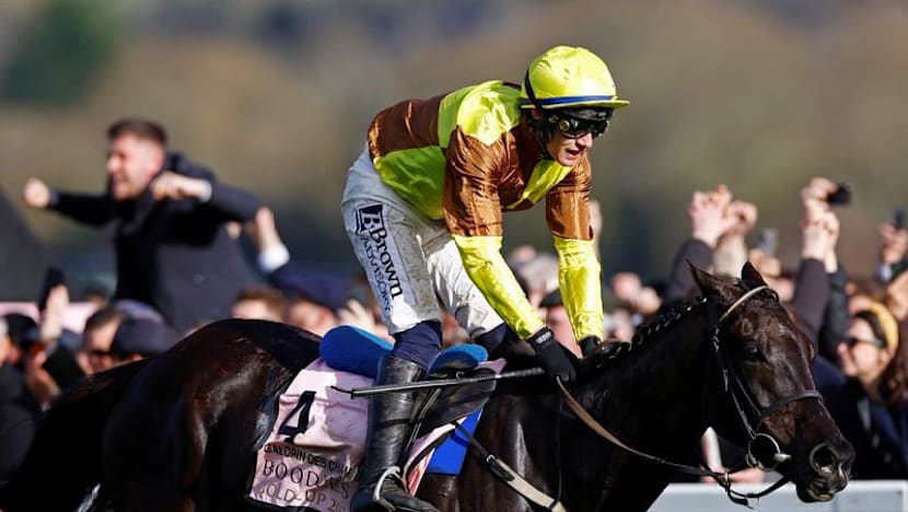 Horse racing-Double Gold Cup winner Galopin Des Champs dies after field injury