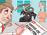 Can Perfect Pet insurance refuse to pay a claim after our dog was bitten by an adder at the vets? SALLY SORTS IT