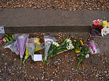 Girl, 6, rescued after family drowned off Shoreham beach was resuscitated but died in hospital from 'brain injury', inquest hears