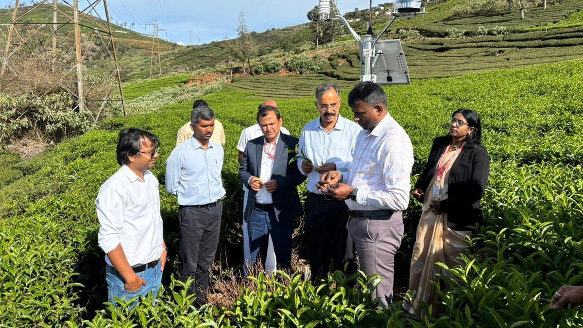 Five weather stations to benefit small tea growers inaugurated in the Nilgiris