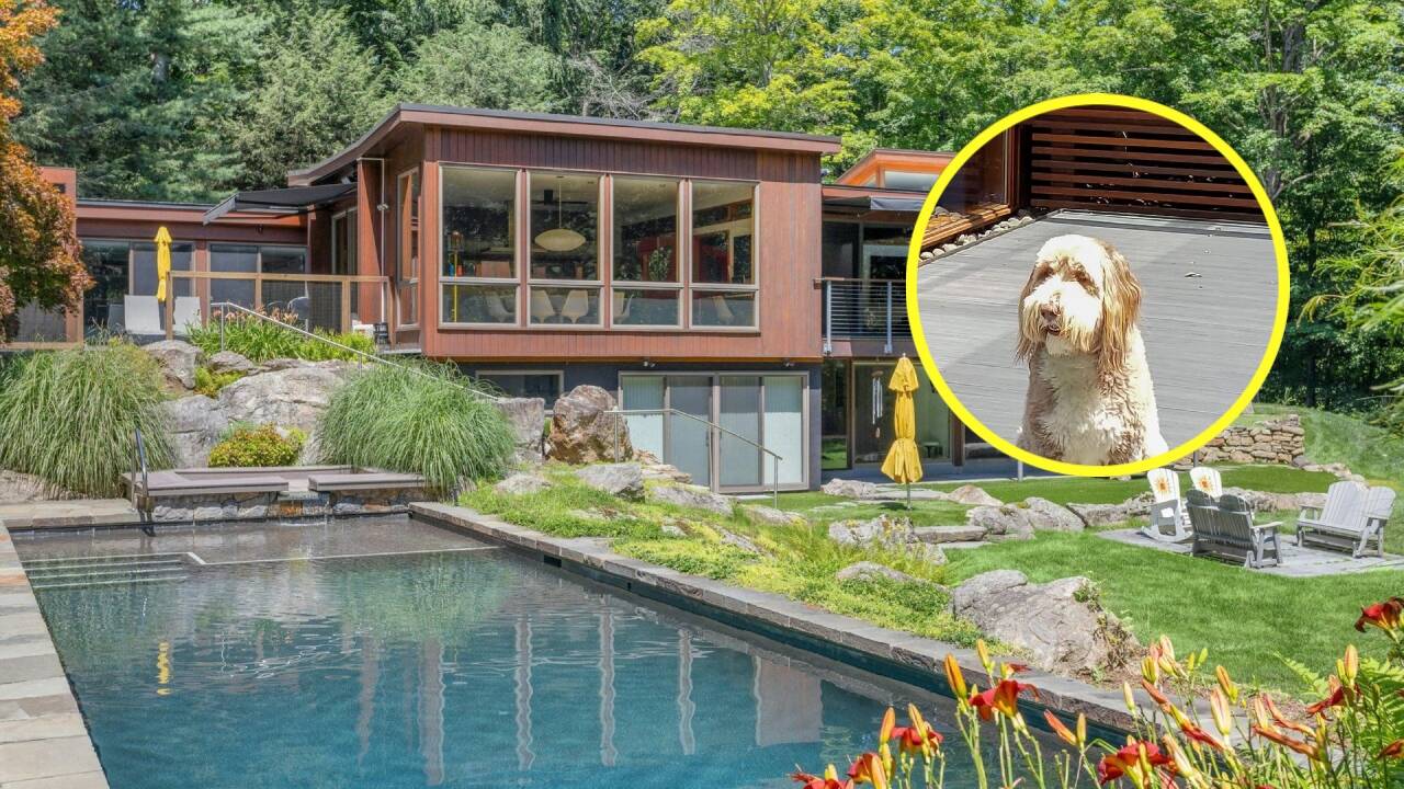 New York couple bought $1.825m home for their dog, then spent $2m renovating it