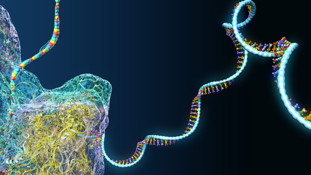STAT+: ARPA-H funds biotechs working on custom RNA therapies