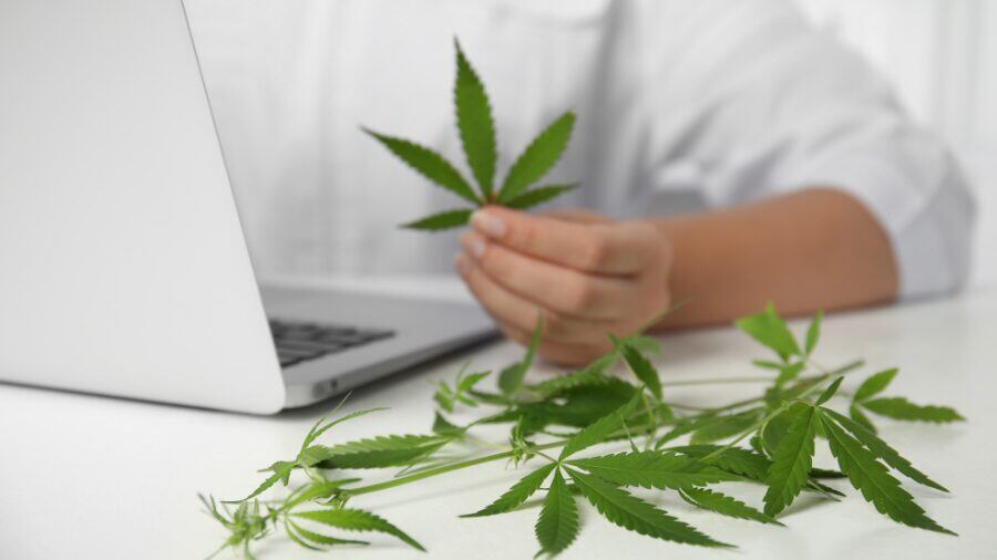 Seattle marijuana data firm owes feds $1M after PPP loan it should never have gotten
