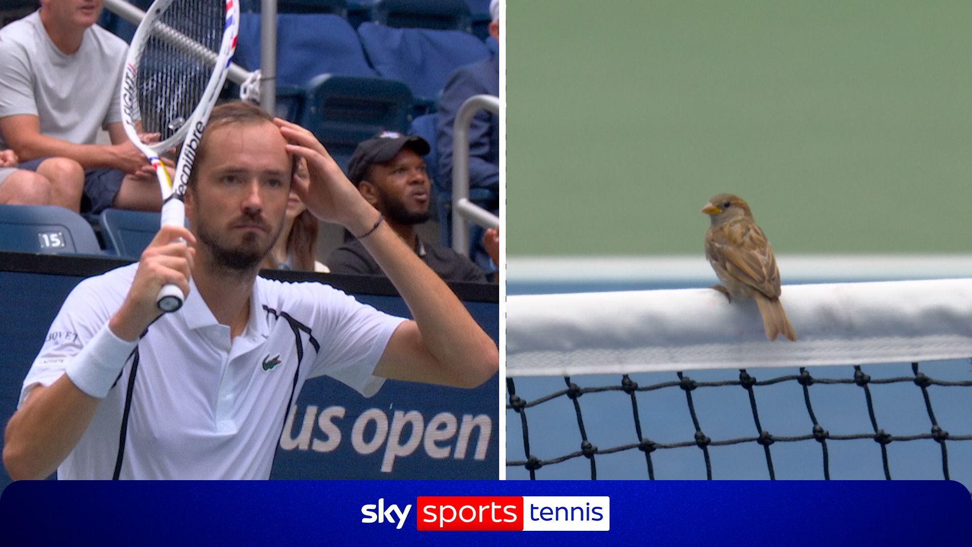 'This is very bad!' | Medvedev fumes as birds halt play!