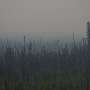 The future of Alaskan wildfire detailed in new climate model study