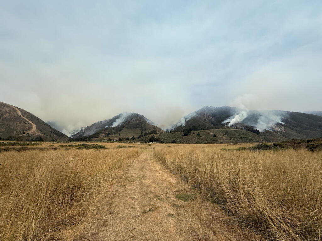 Wildfires blacken 50,000 acres near California’s Big Sur
