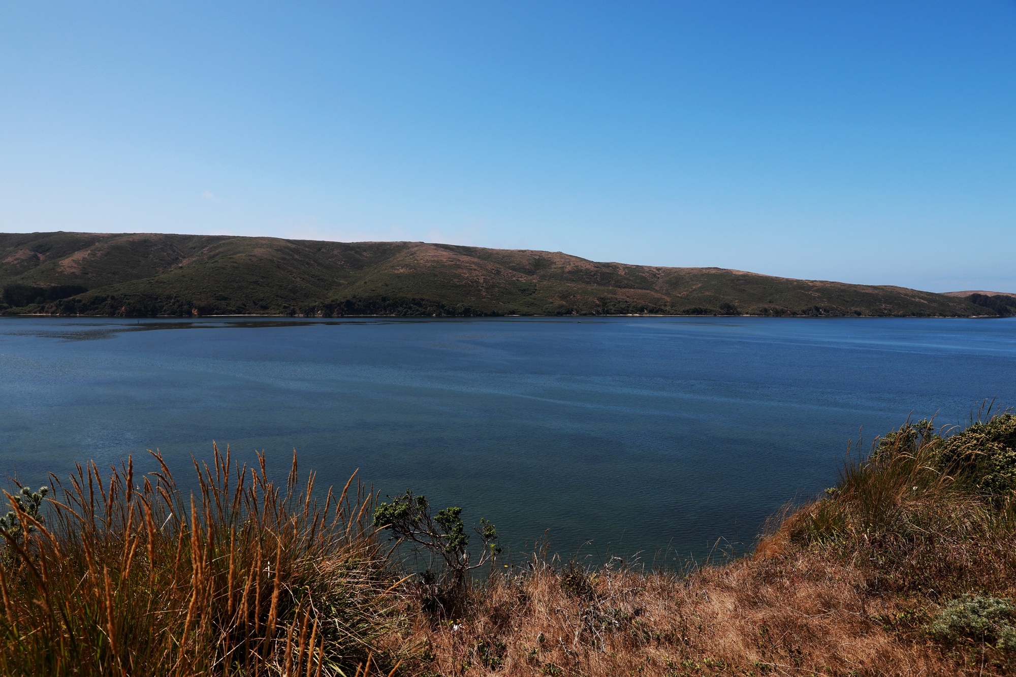 Pacifica Planning Commissioner Among 2 Canoeing Victims in Tomales Bay