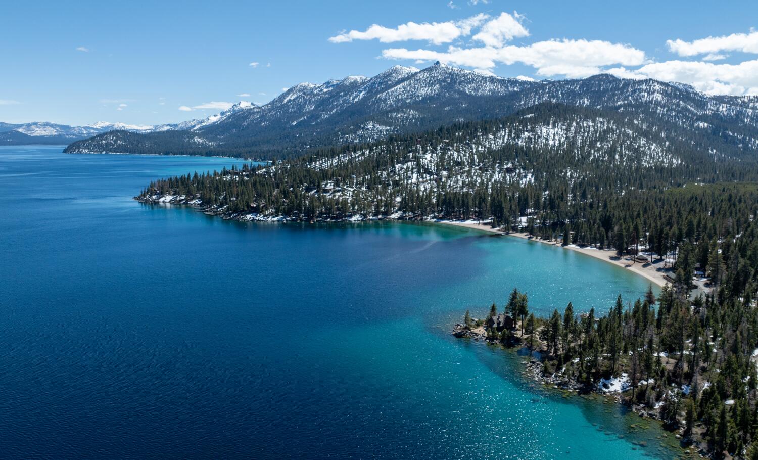 Woman attacked by sea otter at Lake Tahoe was bruised, bloodied but sure one skill saved her