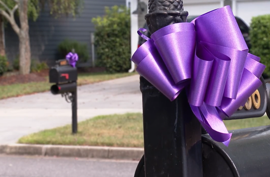 Fort Mill neighbors use colored bows on mailboxes to spread awareness for health causes