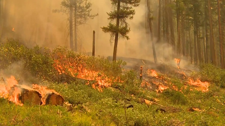Rain offers some relief as Washington wildfire danger remains high