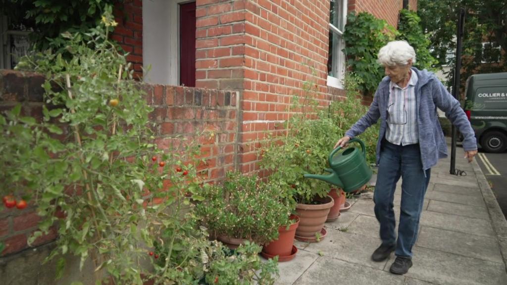 Removal notice for woman's 25-year street garden