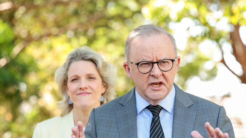 What downturn? Slump wipes 4.5pc from Chalmers’ Queensland suburb