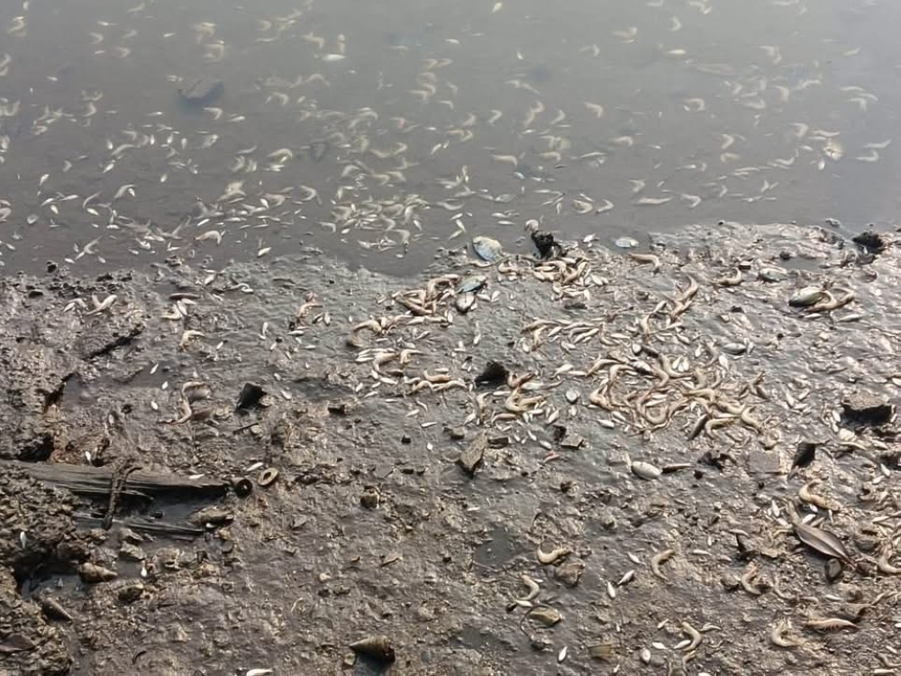DOE detects STP blower valve fault at manufacturing factory amid Sitiawan river pollution probe