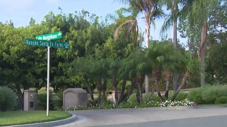 Woman faces felony charges after alleged crime spree involving carjacking, elder abuse and assault