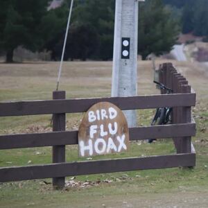 Bird flu ‘hoax’ claims spread online as sceptics dismiss threat