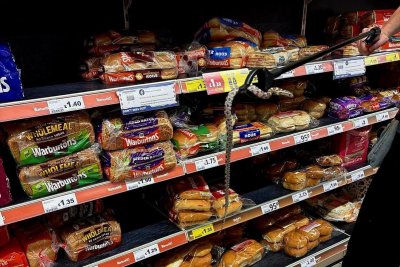 Snake found browsing bread aisle at grocery store