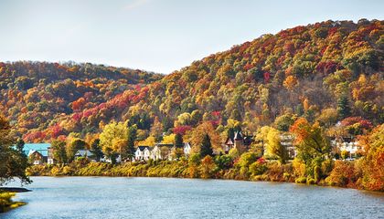 Leaf-Peeping Season Is Almost Here. These Interactive Maps Can Help You Figure Out When Fall Foliage Will Peak in Your Area