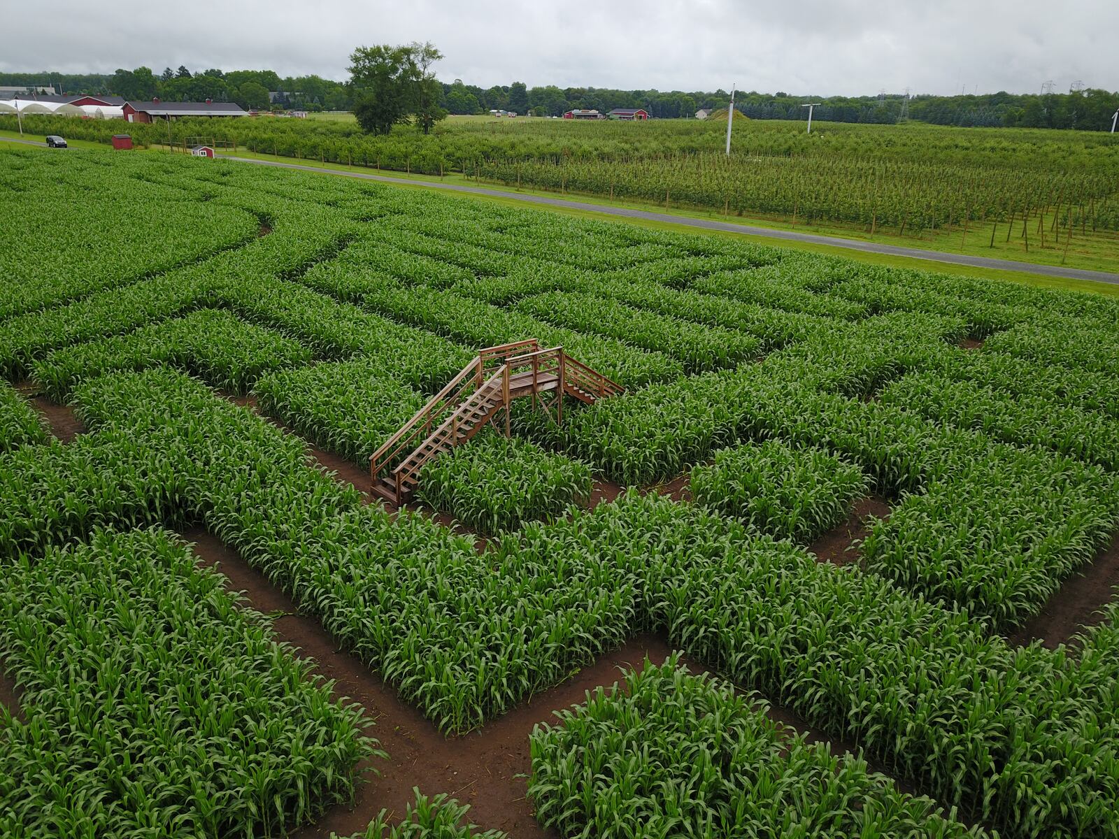 Gull Meadow Farms launches fall season with patriotic opening weekend celebration