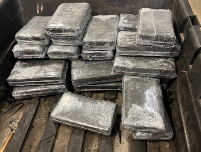 Atlanta man gets 10 years for smuggling cocaine in fruit shipments