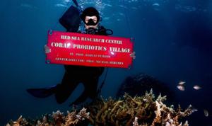 Scientists revive coral dying from heat using live bacteria
