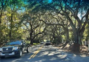 Charleston board approves removal of 20 trees near busy Johns Island intersection for townhomes