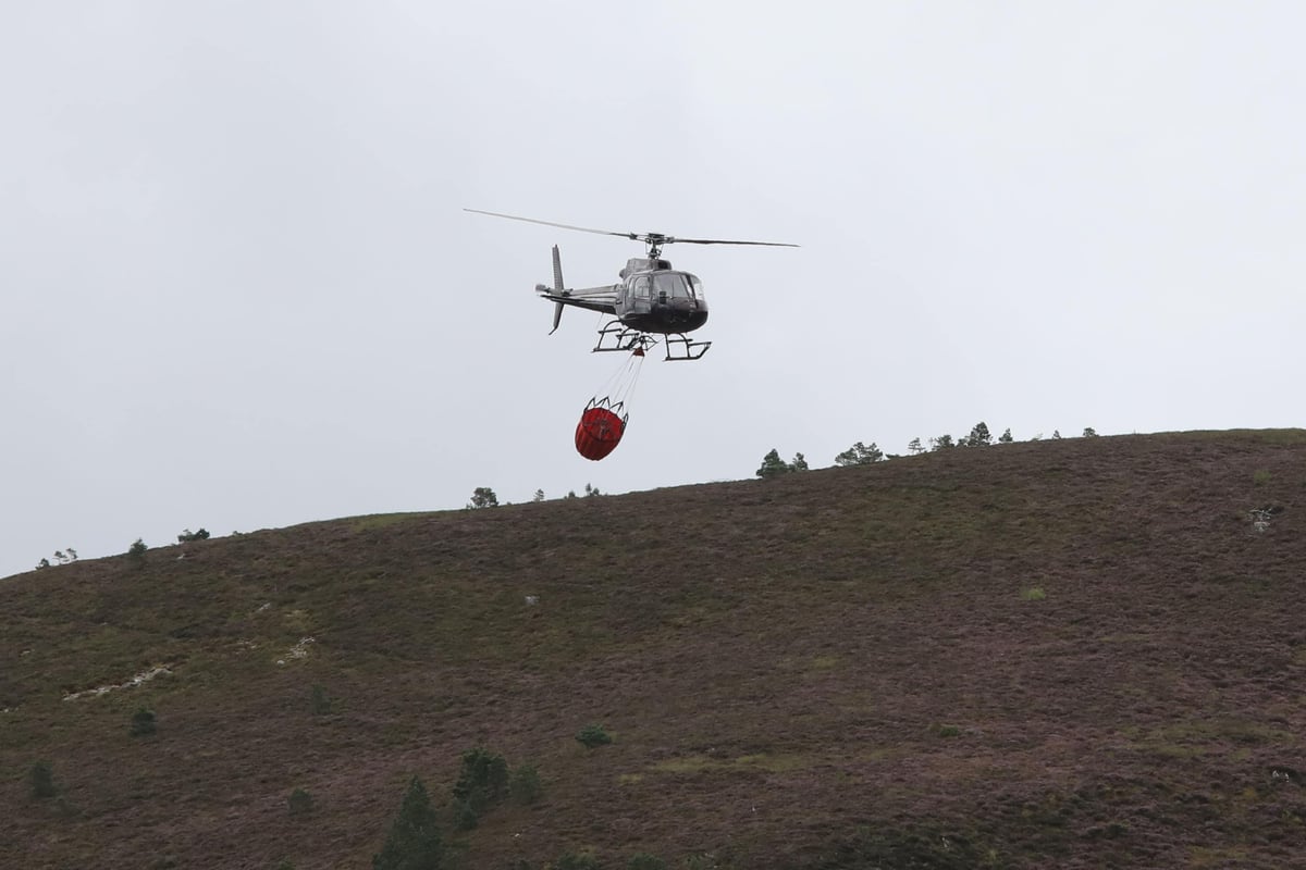 SNP ministers ‘knew UK military did not have support asked for during wildfire’