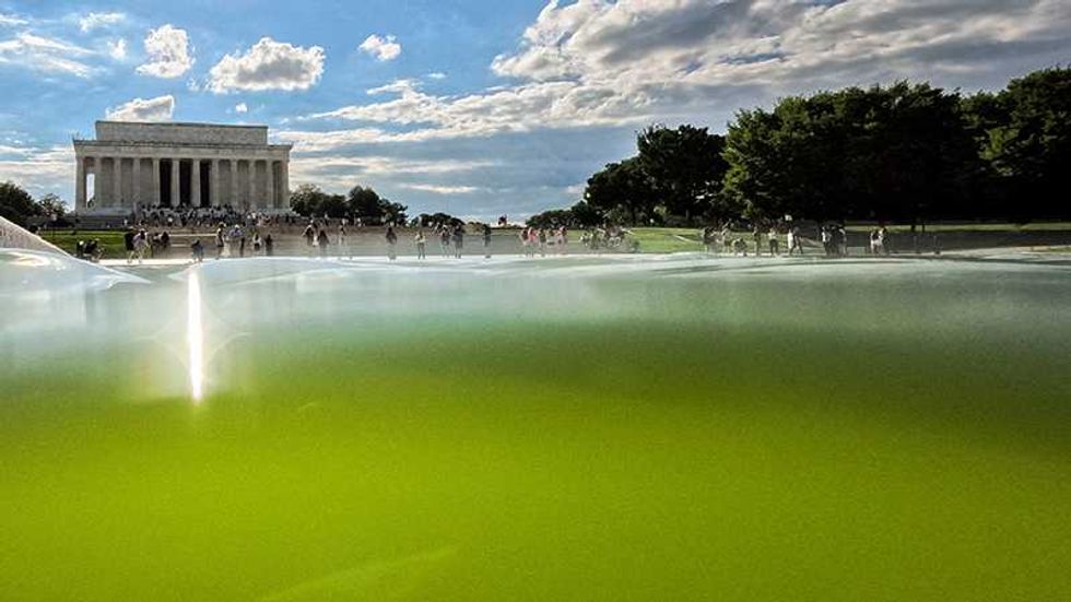 Money pit: Trump hires new company to fix Reflecting Pool algae