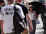 'Too hot to shop' weather leaves High Street deserted over the summer in latest blow to retailers