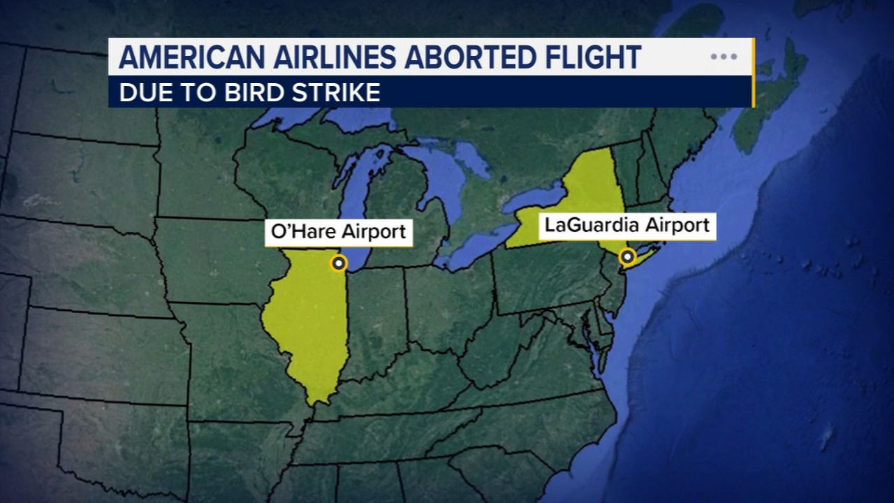 American Airlines flight to Chicago O'Hare airport aborts takeoff at LaGuardia in New York City after apparent bird strike