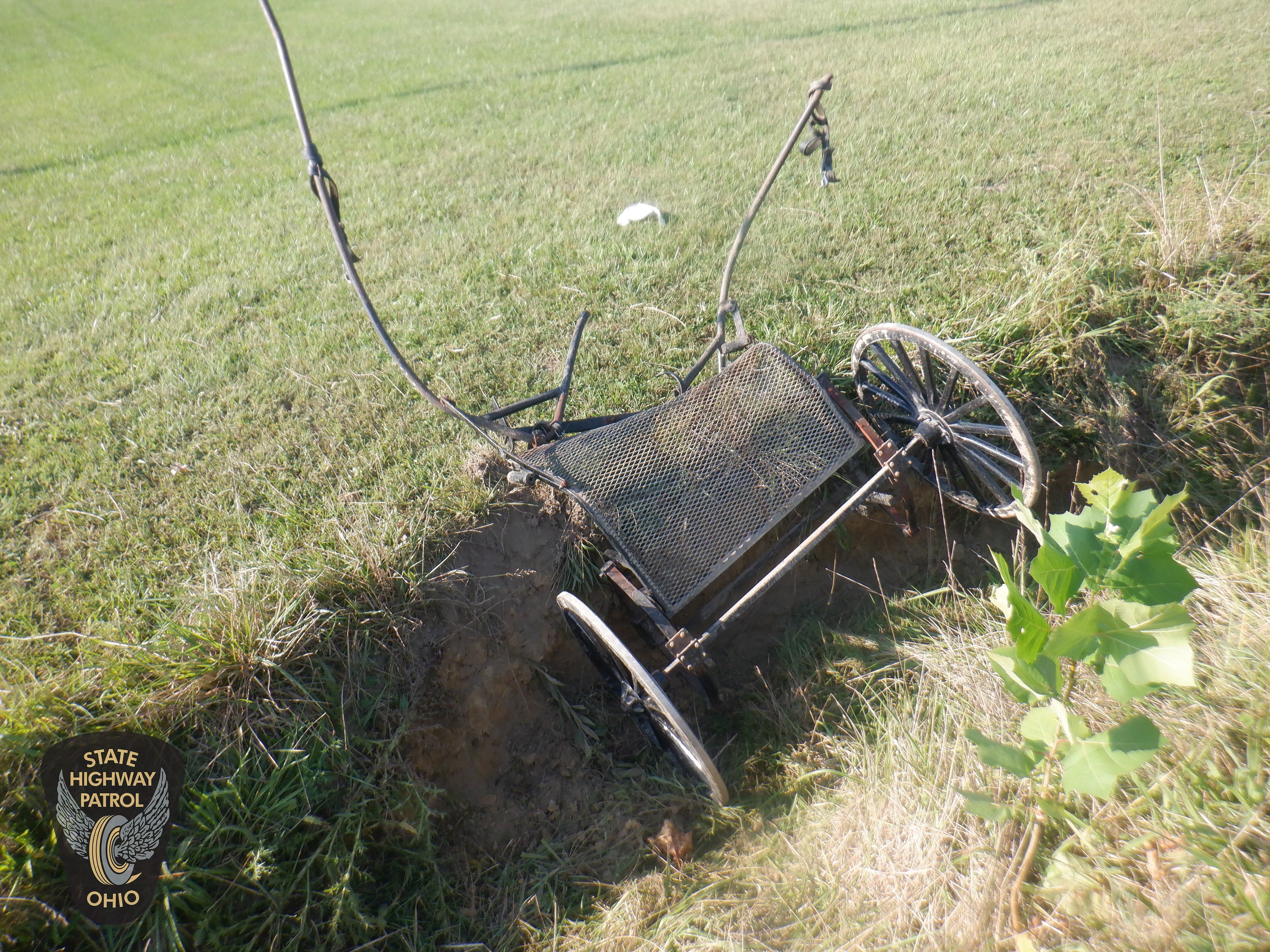 Woman killed, toddler hurt in horse and buggy crash