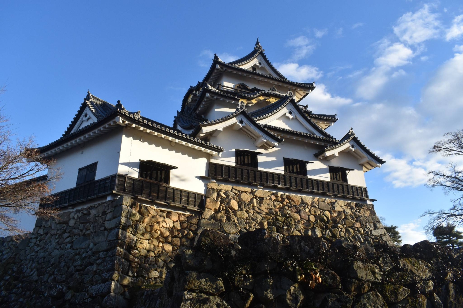 Hikone Castle picked as World Heritage candidate