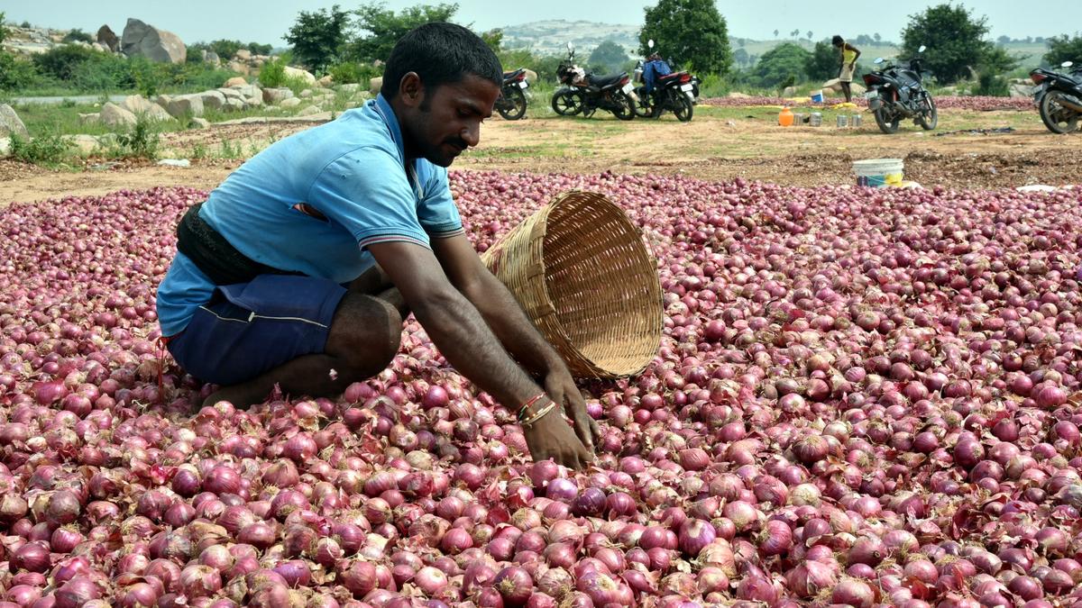 Andhra Pradesh Cabinet sub-committee steps in on onion, tur dal, palm oil prices; onions at ₹35 a kg