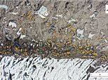They're taking the p***! Climbers are melting Everest's glacier with their urine, study warns