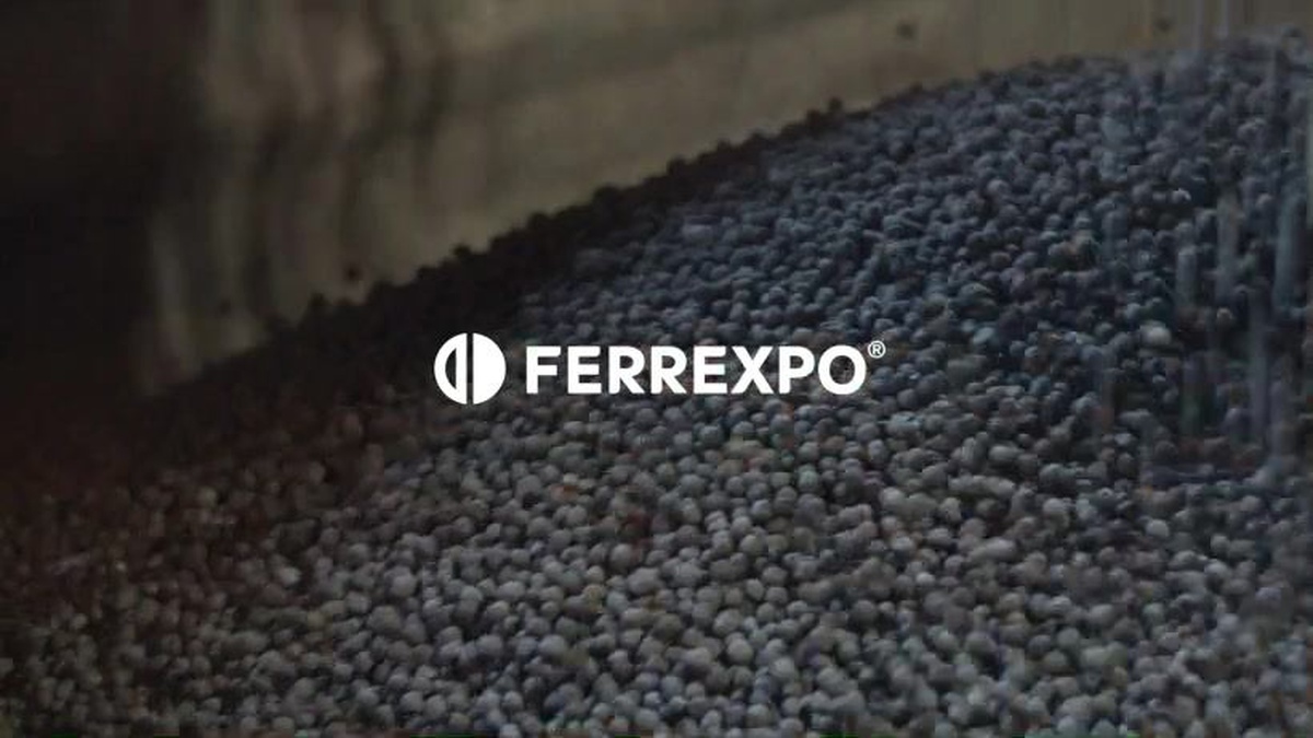 Ferrexpo raises $100 mln in capital, resumes listing on LSE; half of amount contributed by Kernel owner Verevsky