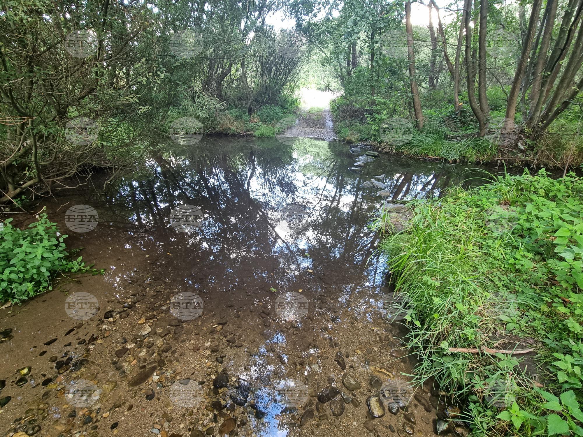 Investigation Opened After Dead Fish Found in Struma River